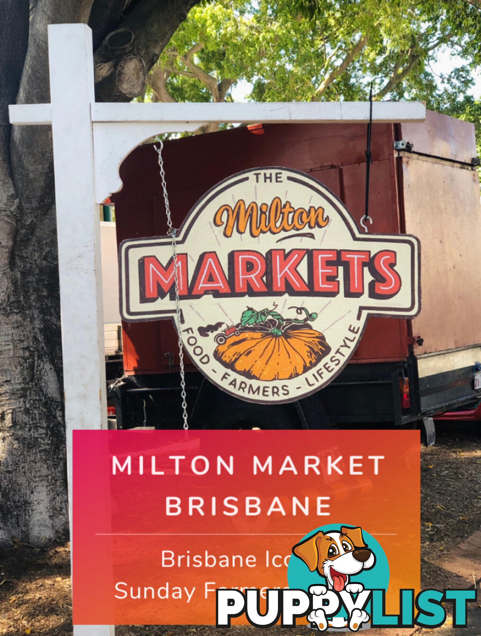 ID:21156955 22 Railway Terrace Milton QLD 4064