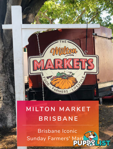 ID:21156955 22 Railway Terrace Milton QLD 4064