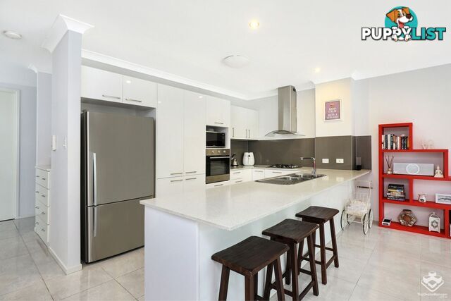 ID:21154606 11 Toral Drive Buderim QLD 4556