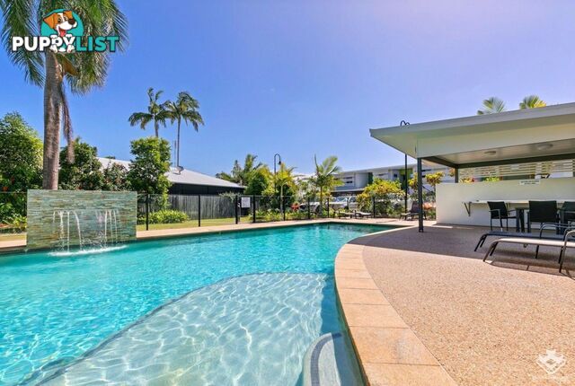 ID:21154606 11 Toral Drive Buderim QLD 4556