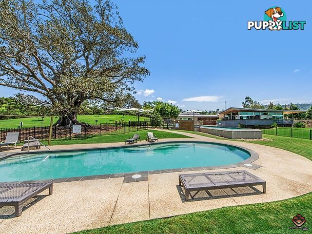 7 Stoneyway Avenue Maudsland QLD 4210