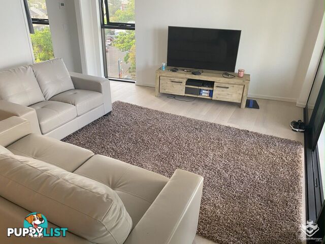 ID:21152870 1328 Gold Coast Highway Palm Beach QLD 4221