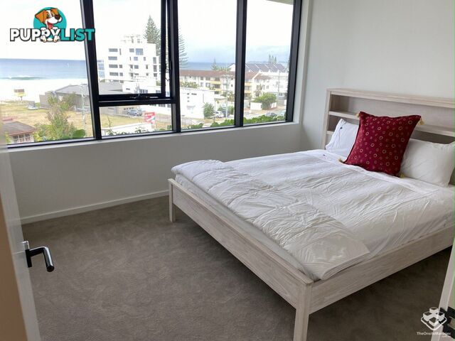 ID:21152870 1328 Gold Coast Highway Palm Beach QLD 4221