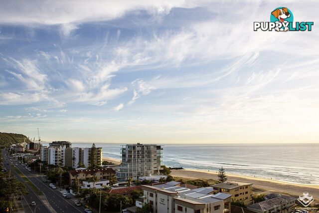 ID:21152870 1328 Gold Coast Highway Palm Beach QLD 4221