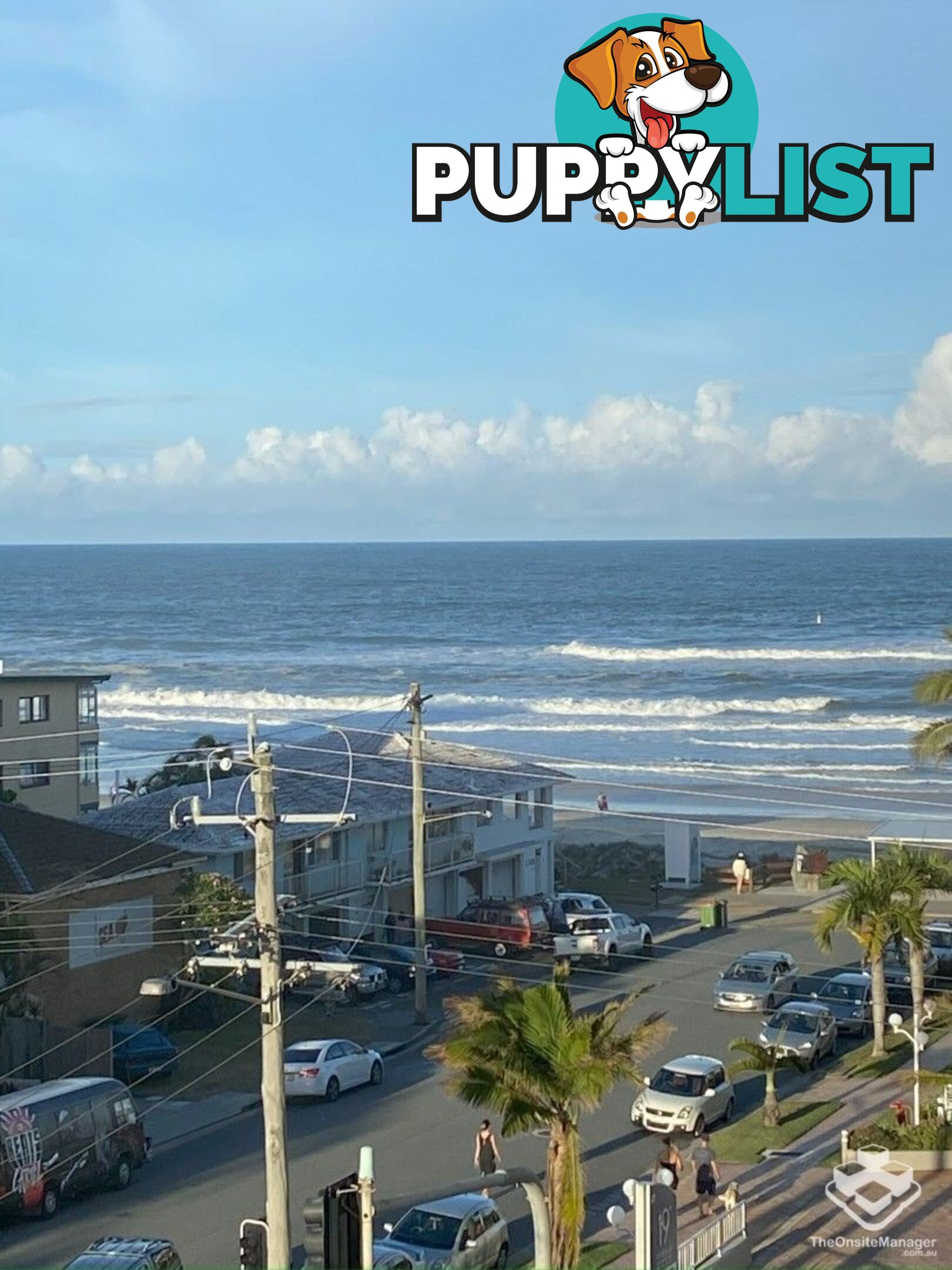 ID:21152870 1328 Gold Coast Highway Palm Beach QLD 4221