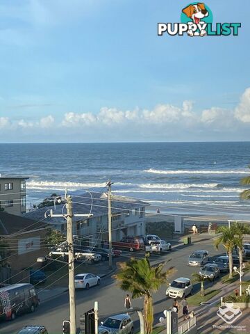 ID:21152870 1328 Gold Coast Highway Palm Beach QLD 4221