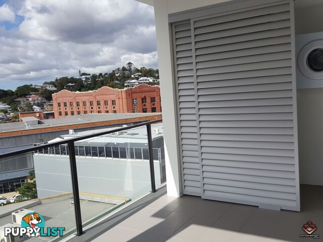 ID:3881385 8 Masters Street Newstead qld 4006