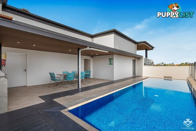 ID:21153624 191 Clarence Road Indooroopilly QLD 4068