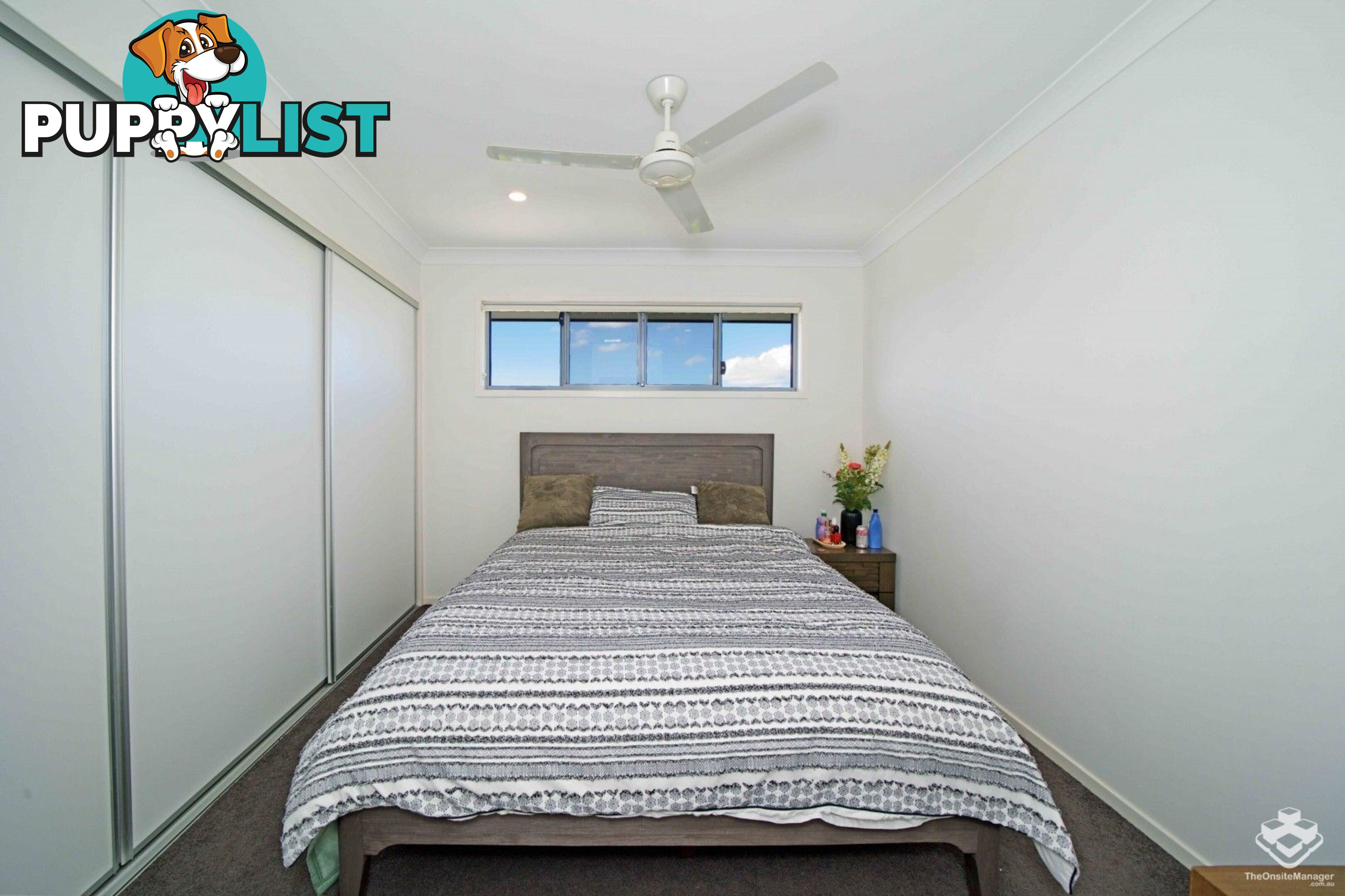 ID:21152893 50 James Edward Street Richlands QLD 4077