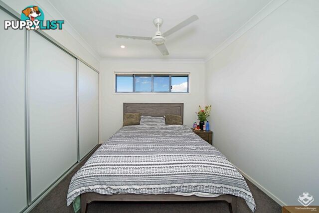 ID:21152893 50 James Edward Street Richlands QLD 4077