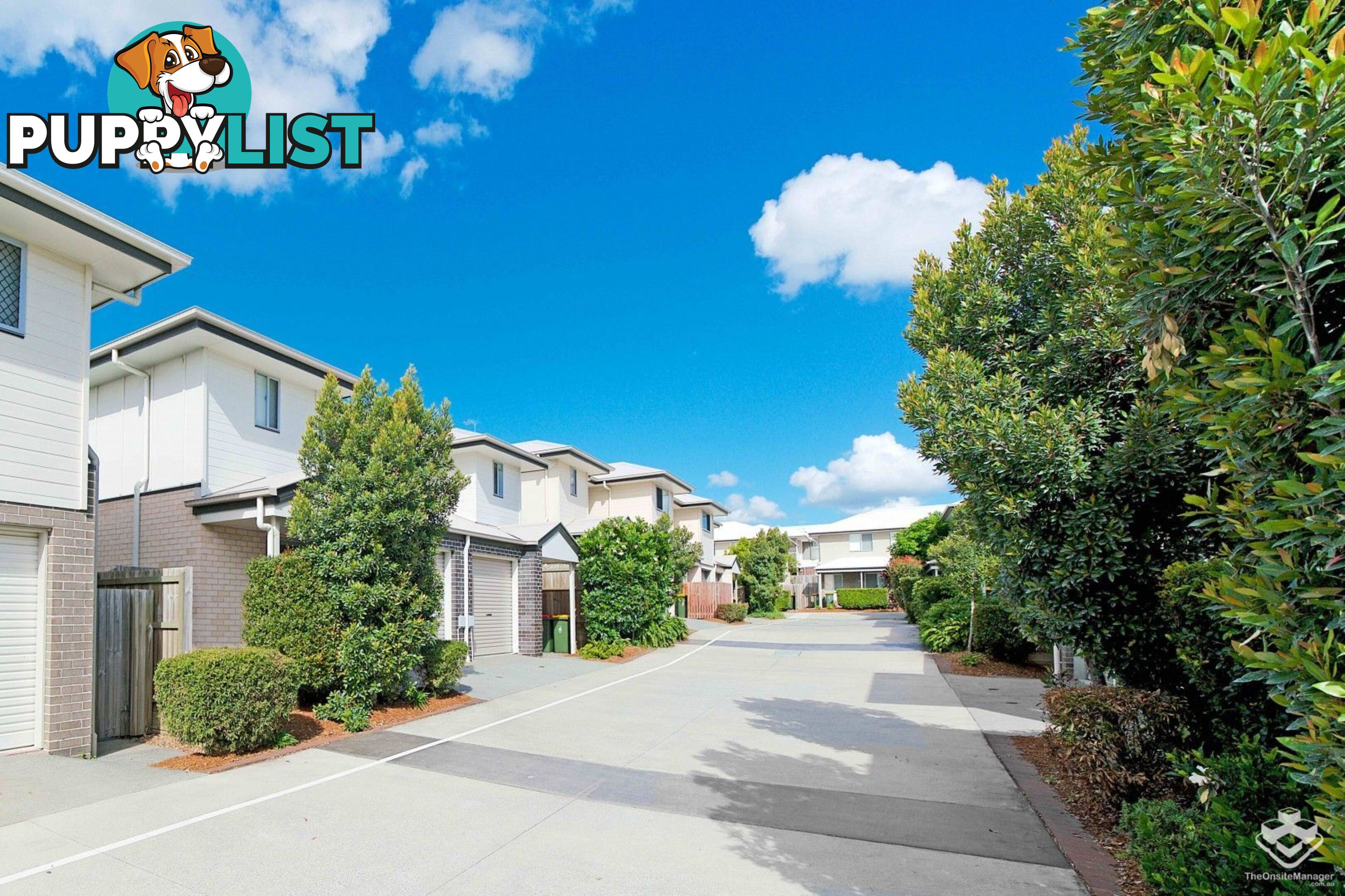 ID:21152893 50 James Edward Street Richlands QLD 4077