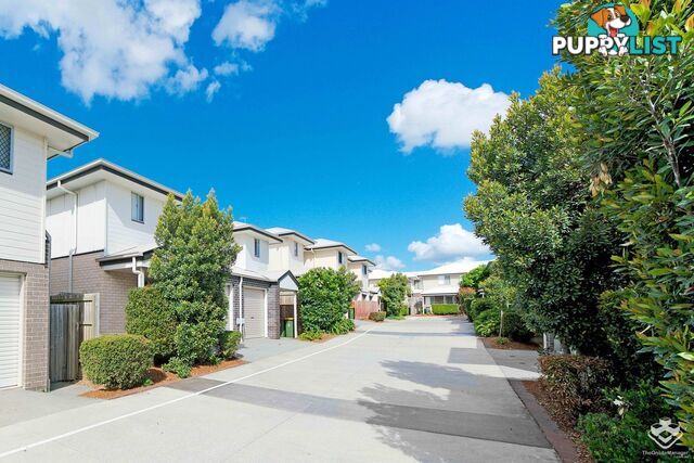 ID:21152893 50 James Edward Street Richlands QLD 4077