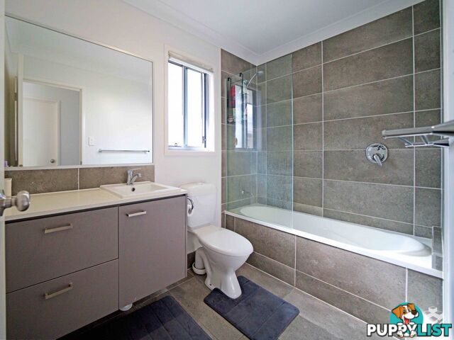 ID:21152893 50 James Edward Street Richlands QLD 4077