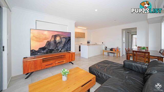 ID:21152893 50 James Edward Street Richlands QLD 4077