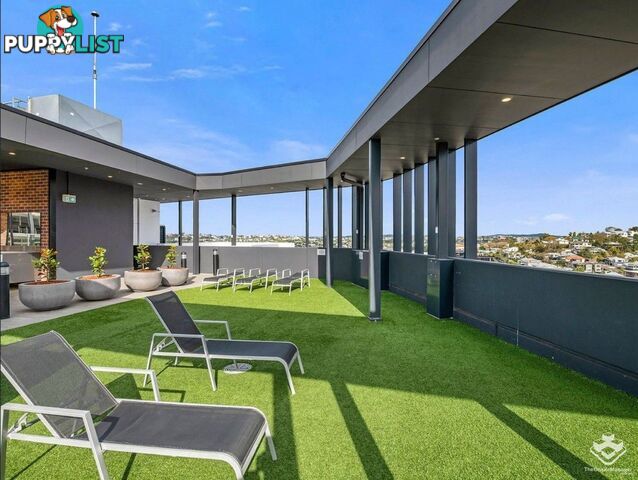 ID:21150909 42 Wyandra Street Newstead QLD 4006