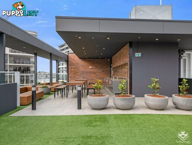 ID:21150909 42 Wyandra Street Newstead QLD 4006