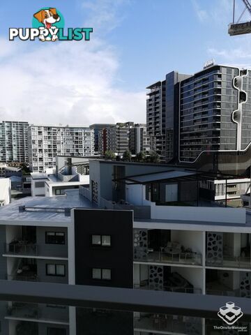ID:21150909 42 Wyandra Street Newstead QLD 4006