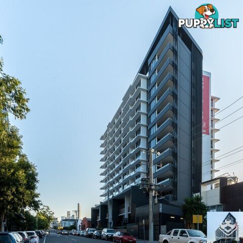 ID:21150909 42 Wyandra Street Newstead QLD 4006