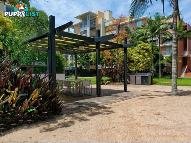 ID:21156943 2 Carraway Street Kelvin Grove QLD 4059