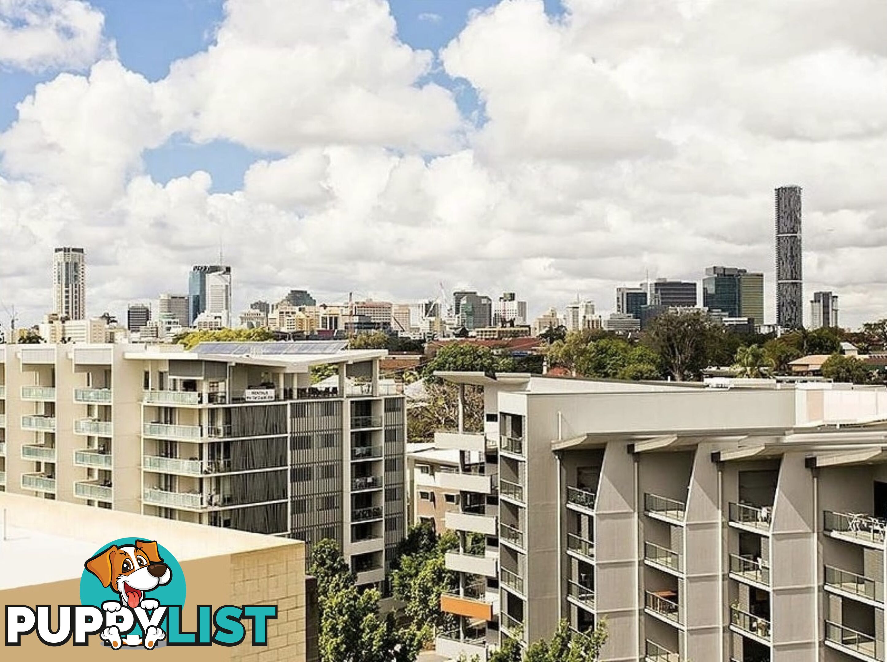 ID:21156943 2 Carraway Street Kelvin Grove QLD 4059