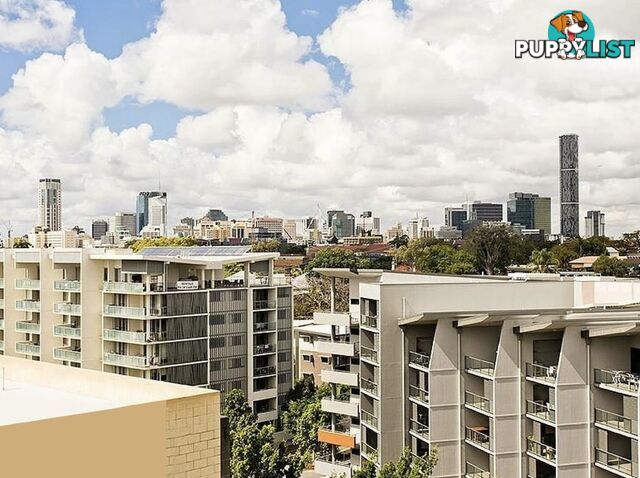 ID:21156943 2 Carraway Street Kelvin Grove QLD 4059