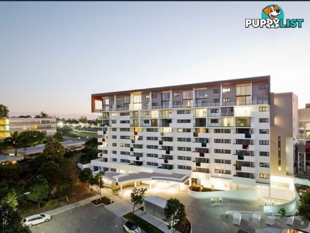 ID:21156943 2 Carraway Street Kelvin Grove QLD 4059