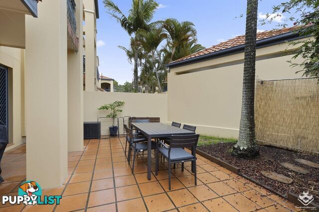 31/206 Cheltenham Drive Robina QLD 4226