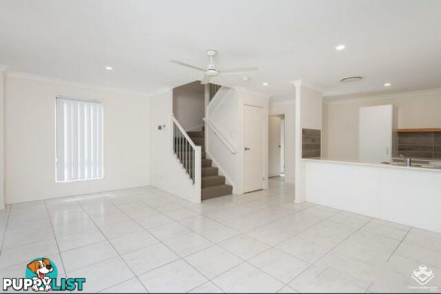 12/28 Diane Court Calamvale QLD 4116