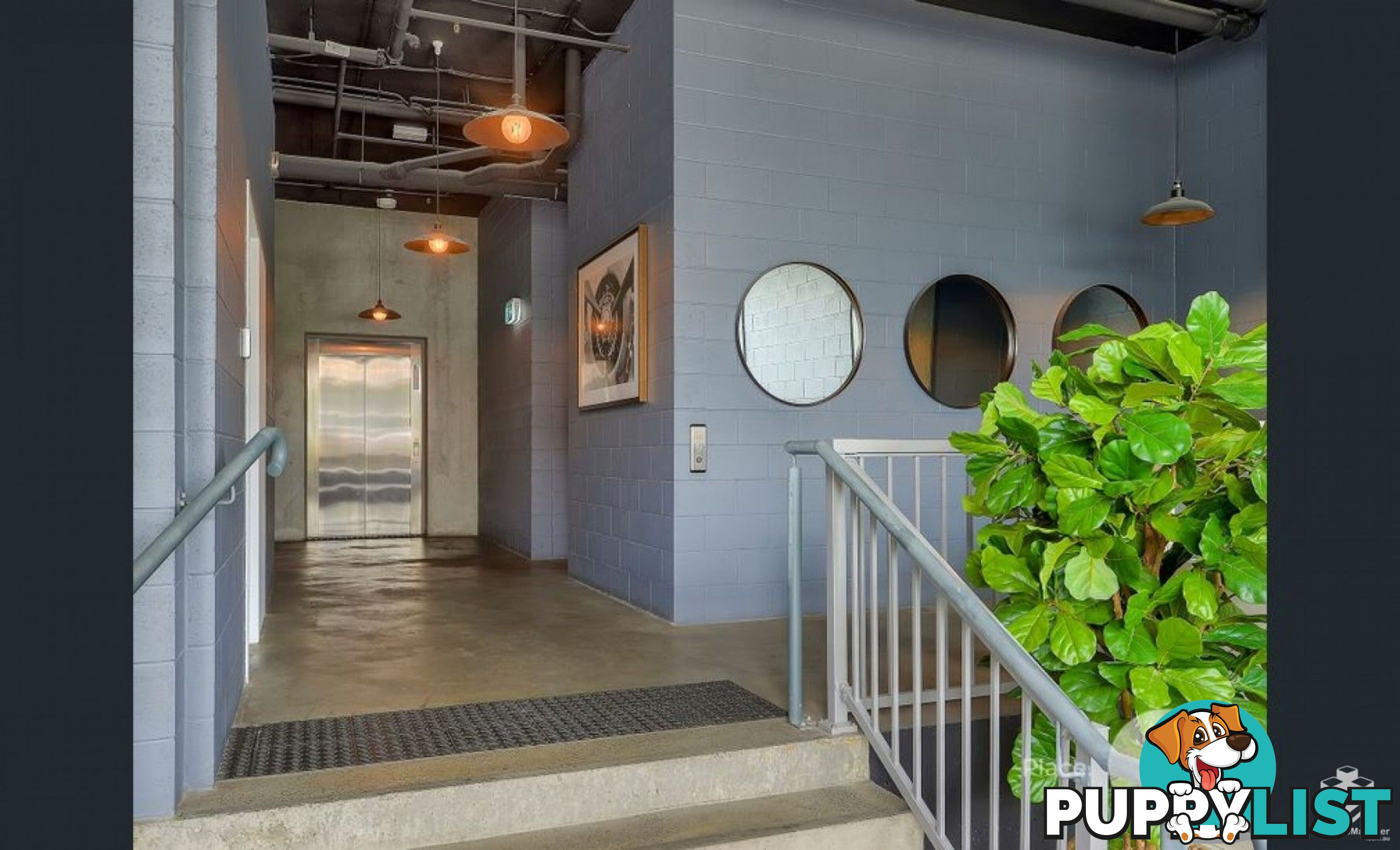 206/21 Nile street Woolloongabba QLD 4102