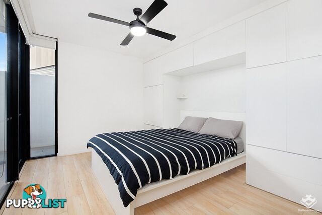 206/21 Nile street Woolloongabba QLD 4102