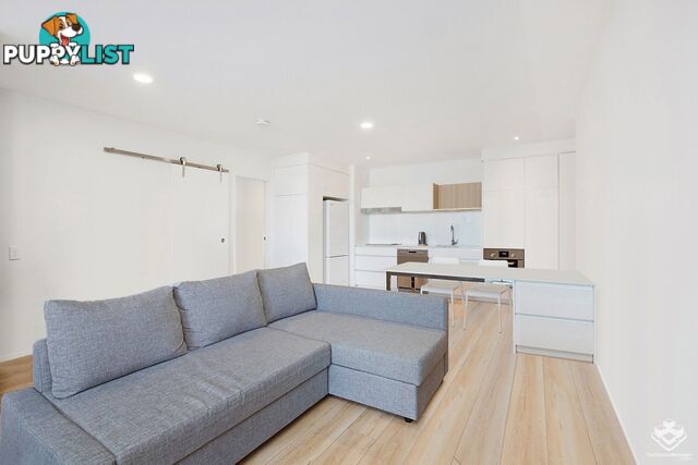 206/21 Nile street Woolloongabba QLD 4102