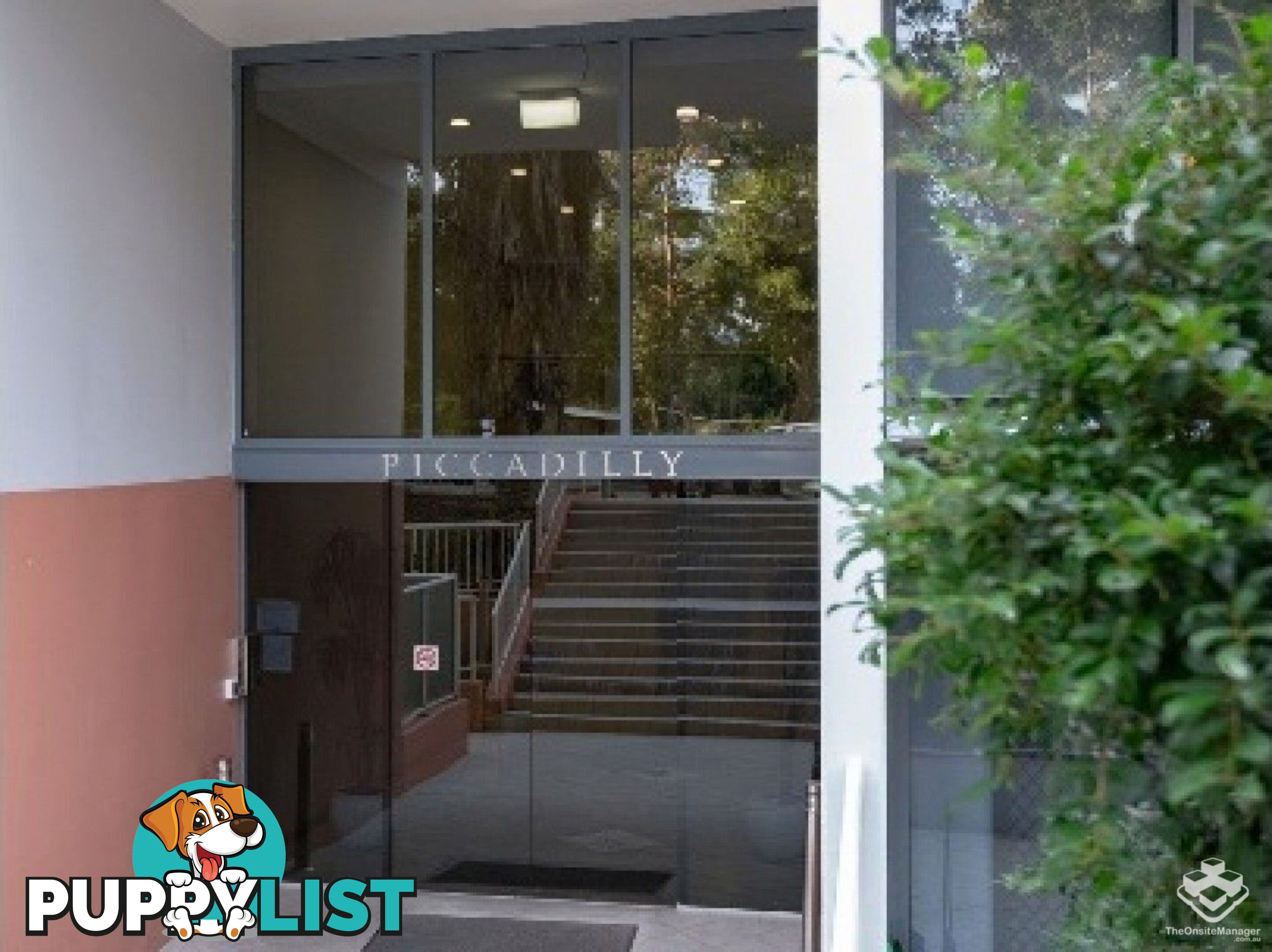 249/27-31 Leonard St Waitara NSW 2077