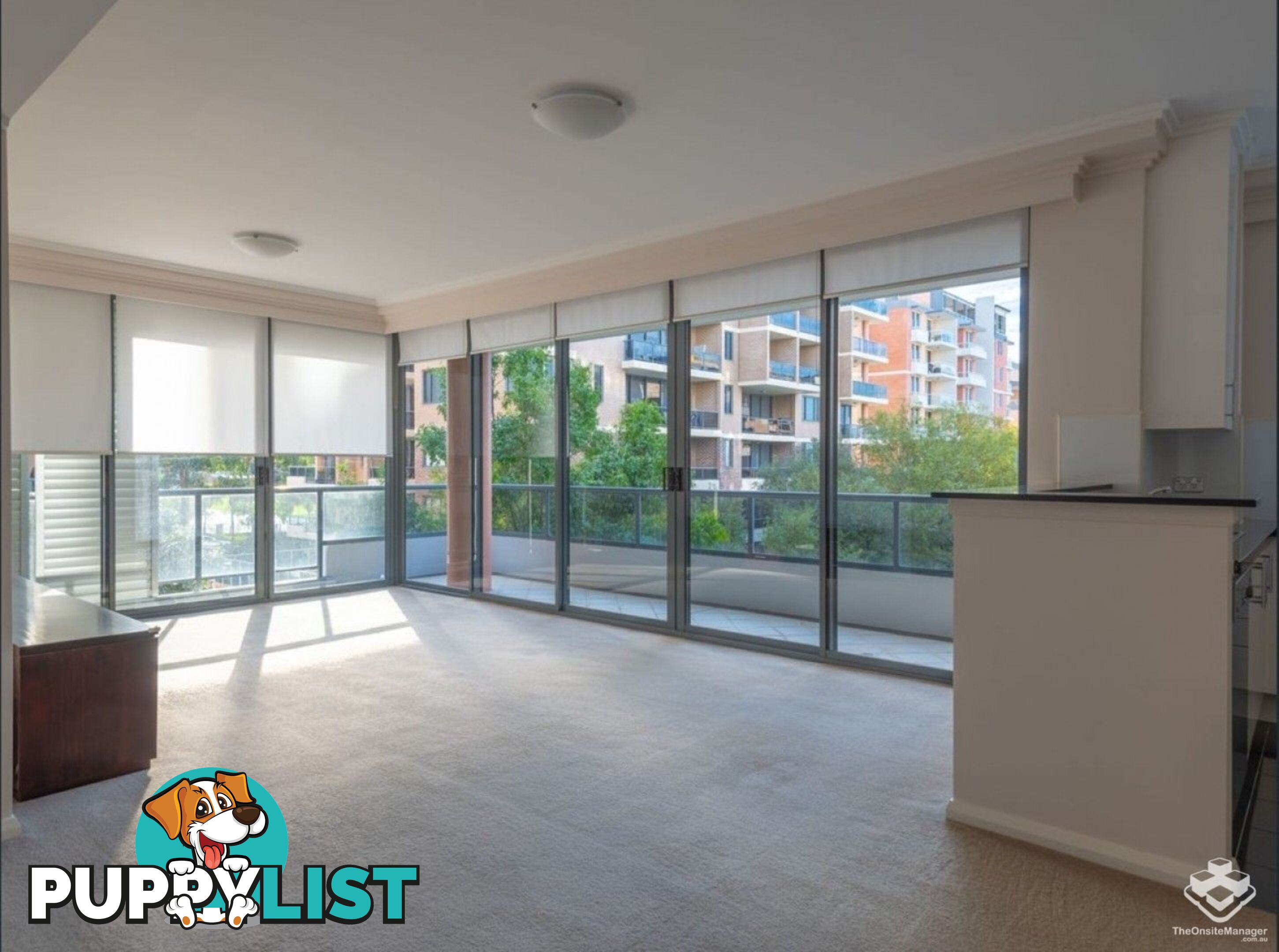 249/27-31 Leonard St Waitara NSW 2077