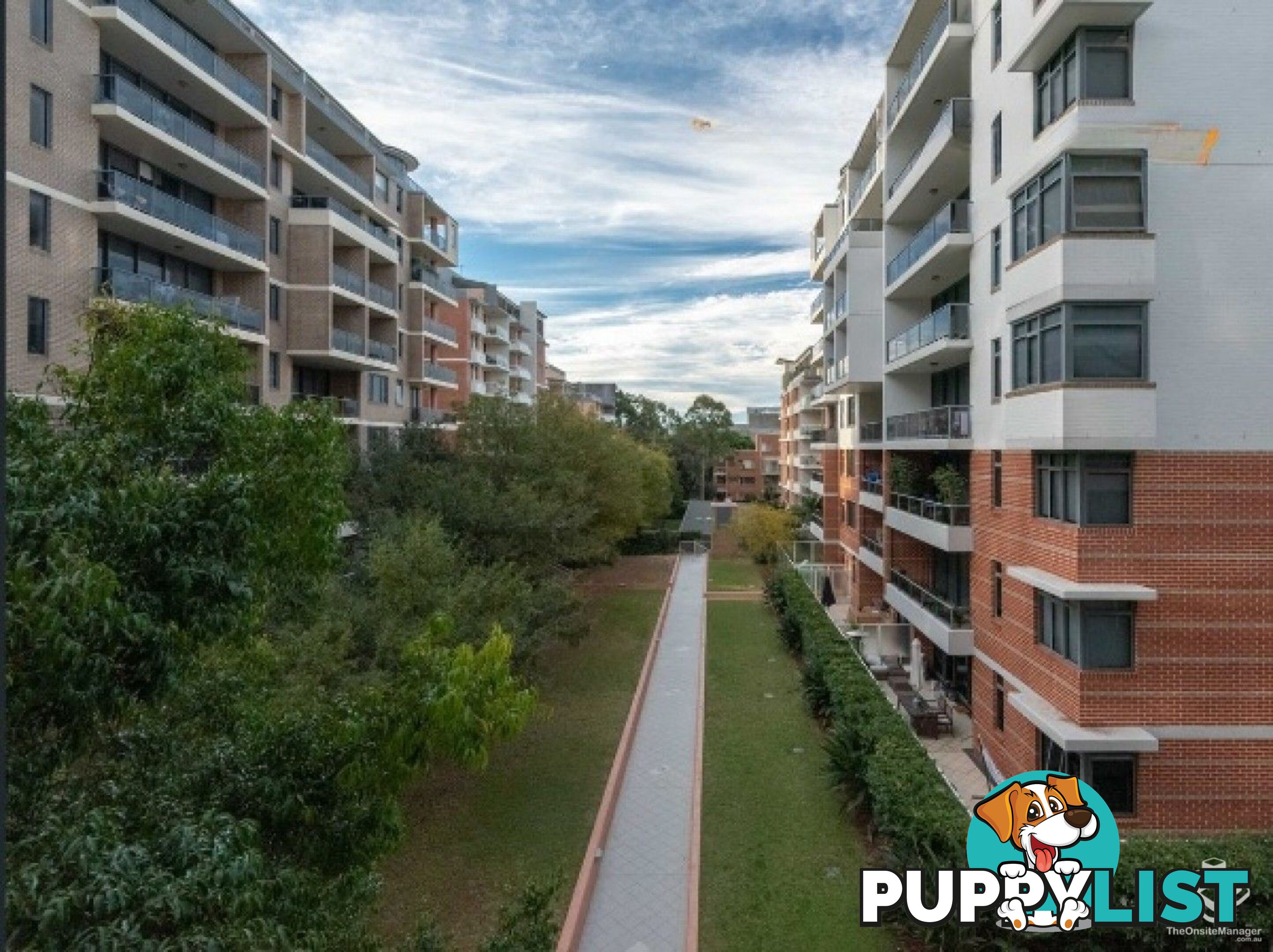 249/27-31 Leonard St Waitara NSW 2077