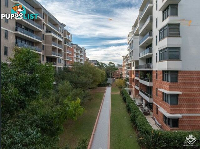 249/27-31 Leonard St Waitara NSW 2077