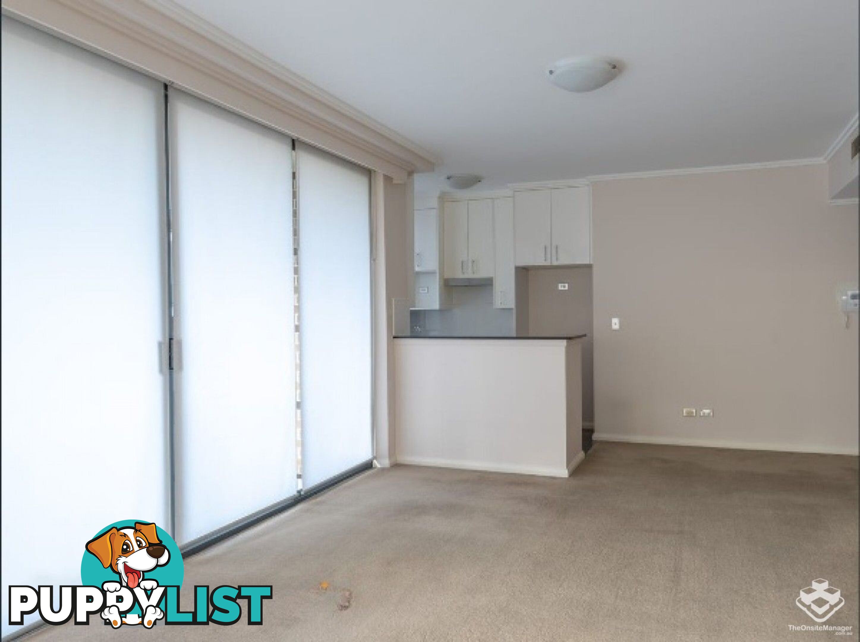 249/27-31 Leonard St Waitara NSW 2077
