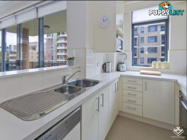 249/27-31 Leonard St Waitara NSW 2077