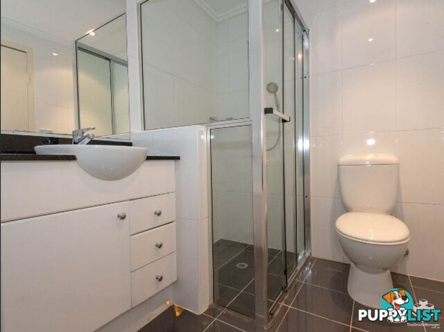 249/27-31 Leonard St Waitara NSW 2077