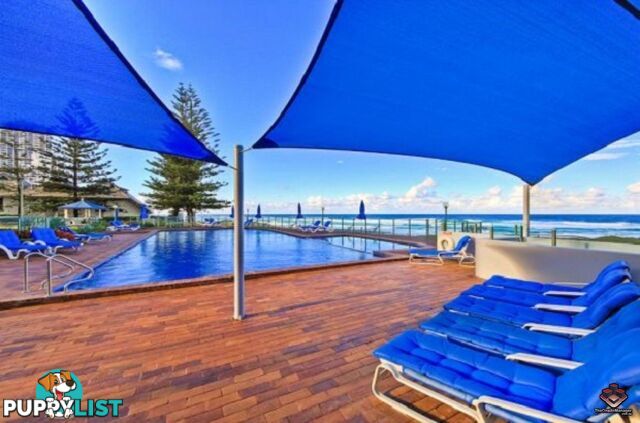 ID:21114655/62-72 Old Burleigh Road Surfers Paradise QLD 4217