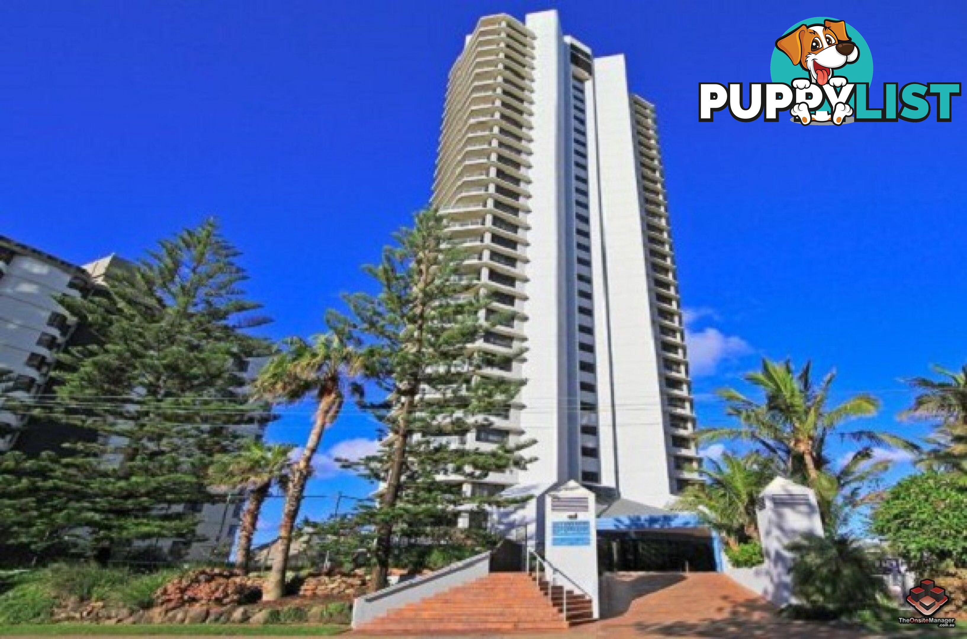 ID:21114655/62-72 Old Burleigh Road Surfers Paradise QLD 4217