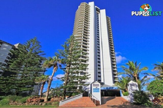 ID:21114655/62-72 Old Burleigh Road Surfers Paradise QLD 4217