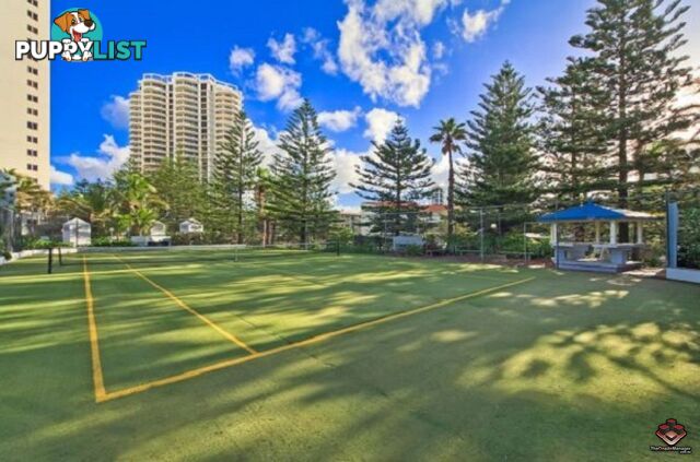 ID:21114655/62-72 Old Burleigh Road Surfers Paradise QLD 4217