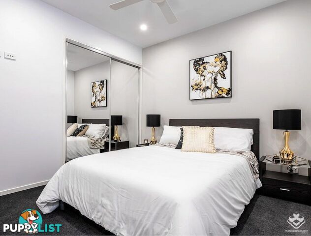 506/217 Lutwyche Road Windsor QLD 4030
