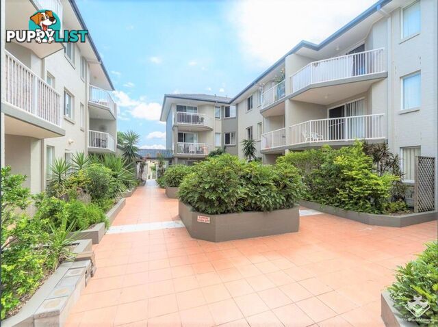 ID:21145172/75 Bayview Street Runaway Bay QLD 4216