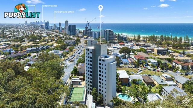 ID:21117735/29 Hill Avenue Burleigh Heads QLD 4220