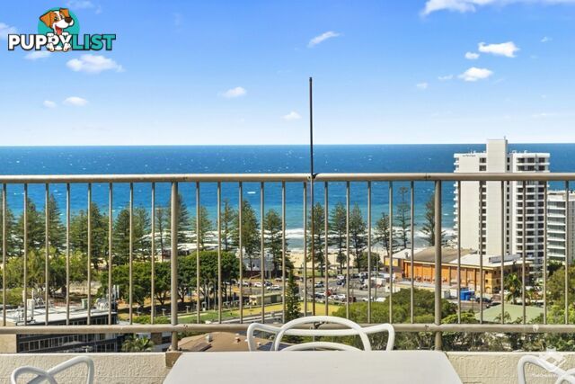 ID:21117735/29 Hill Avenue Burleigh Heads QLD 4220