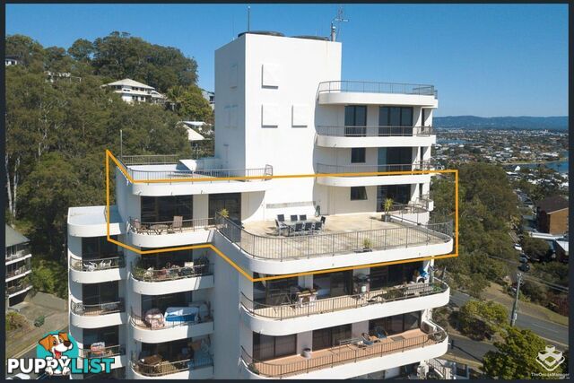 ID:21117735/29 Hill Avenue Burleigh Heads QLD 4220