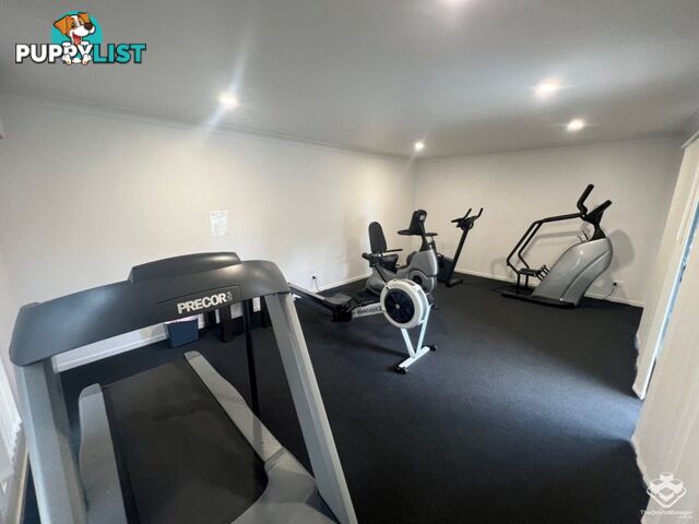ID:21158651 5 McKenzie Road Mango Hill QLD 4509