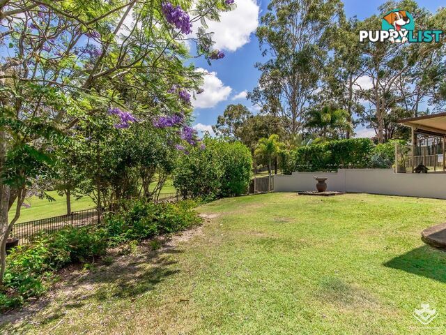 5 Tiaro Court Helensvale QLD 4212