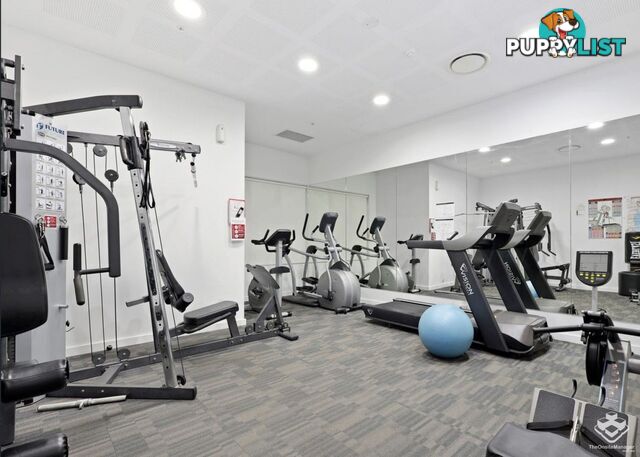 ID:21158561 66 Manning Street South Brisbane QLD 4101
